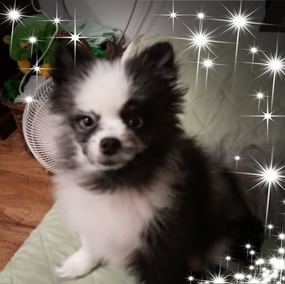 Poshmark profile picture for @overworked